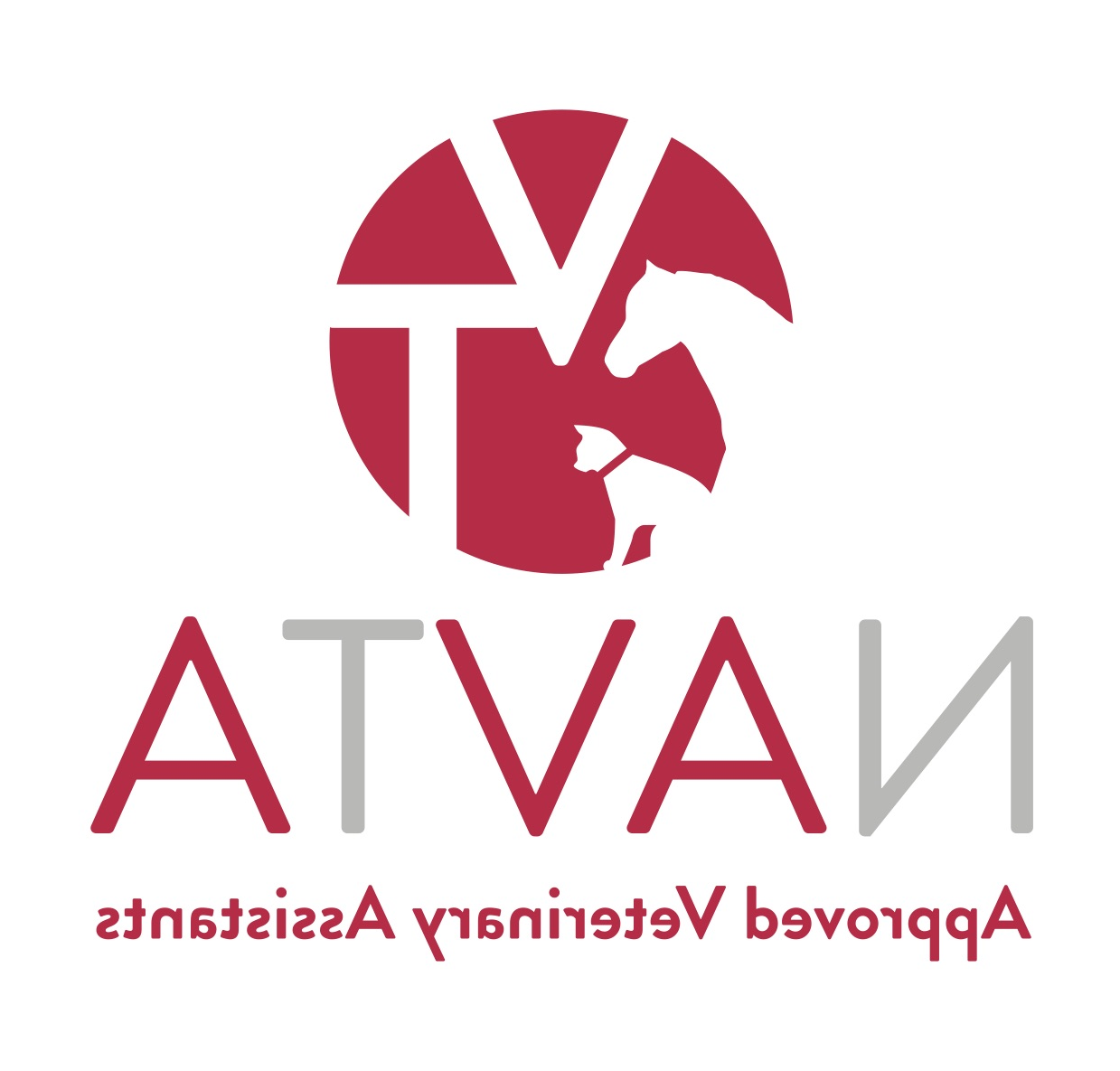 NAVTA